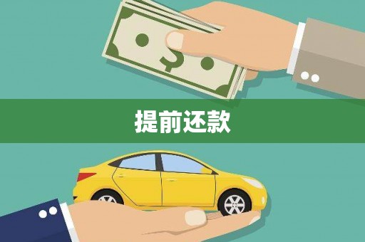 洛扎提前还款