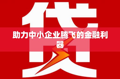 洛扎助力中小企业腾飞的金融利器
