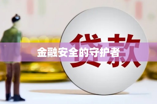 洛扎金融安全的守护者