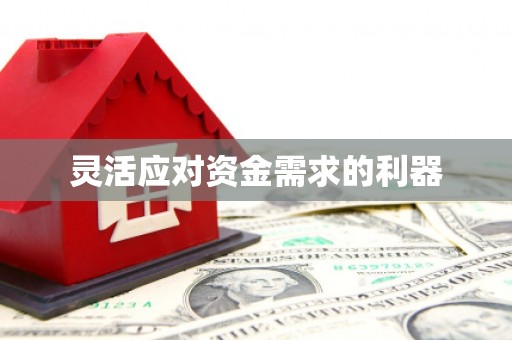 洛扎灵活应对资金需求的利器