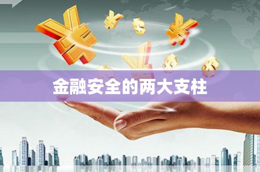 洛扎金融安全的两大支柱