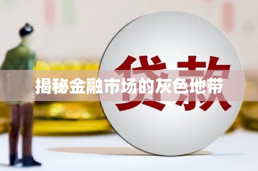 洛扎揭秘金融市场的灰色地带