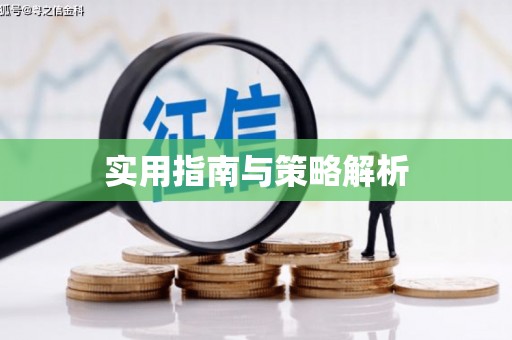 洛扎实用指南与策略解析