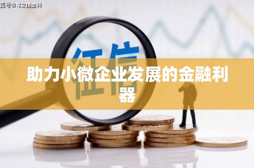 洛扎助力小微企业发展的金融利器