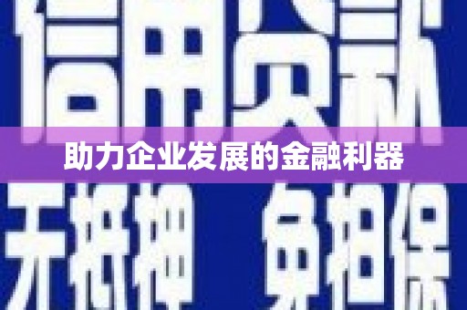洛扎助力企业发展的金融利器