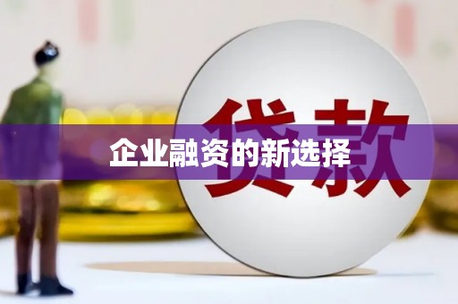 洛扎企业融资的新选择