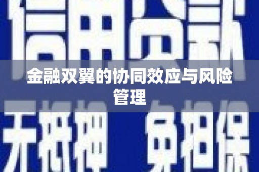 洛扎金融双翼的协同效应与风险管理
