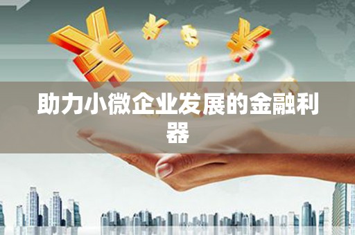 洛扎助力小微企业发展的金融利器