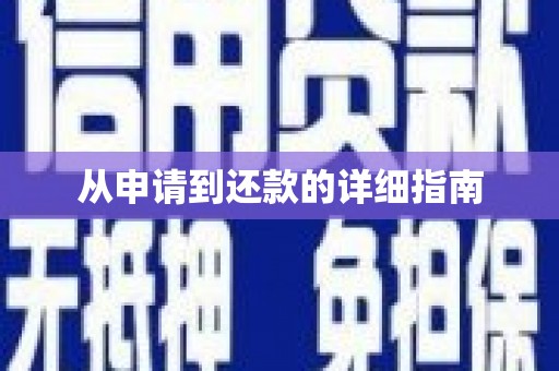 洛扎从申请到还款的详细指南