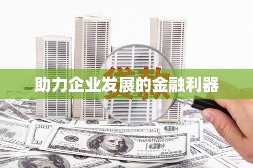 洛扎助力企业发展的金融利器