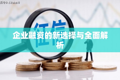 洛扎企业融资的新选择与全面解析