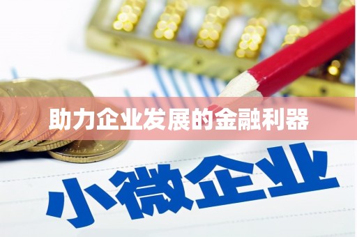 洛扎助力企业发展的金融利器
