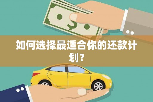 洛扎如何选择最适合你的还款计划？