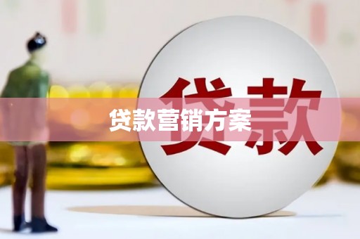 洛扎贷款营销方案