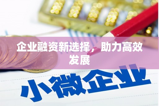 洛扎企业融资新选择，助力高效发展