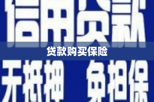 洛扎贷款购买保险