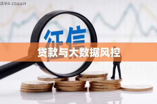 洛扎贷款与大数据风控