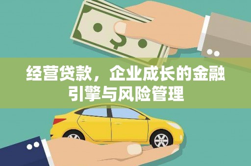 洛扎经营贷款，企业成长的金融引擎与风险管理