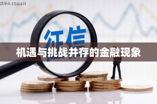 洛扎机遇与挑战并存的金融现象