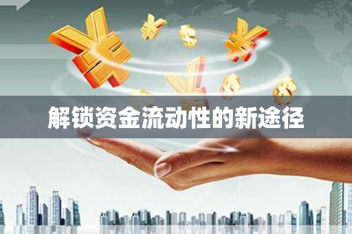 洛扎解锁资金流动性的新途径