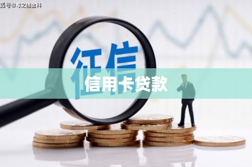 洛扎信用卡贷款