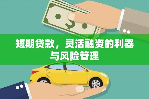 洛扎短期贷款，灵活融资的利器与风险管理