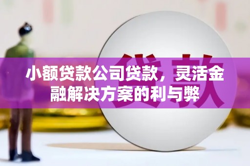 洛扎小额贷款公司贷款，灵活金融解决方案的利与弊