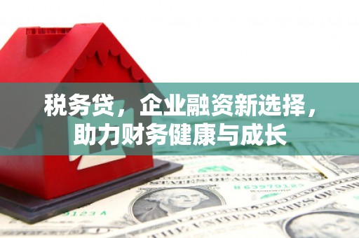 洛扎税务贷，企业融资新选择，助力财务健康与成长