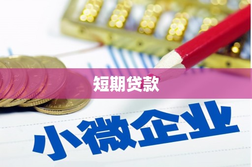 洛扎短期贷款