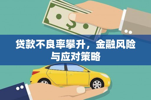 洛扎贷款不良率攀升，金融风险与应对策略