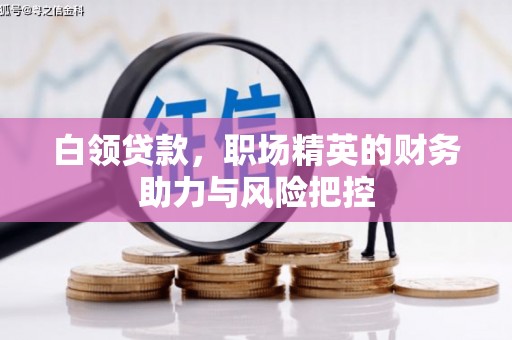 洛扎白领贷款,职场精英的财务助力与风险把控 洛扎白领贷款,职场精英的财务助力与风险把控