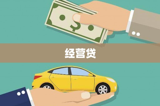 洛扎经营贷