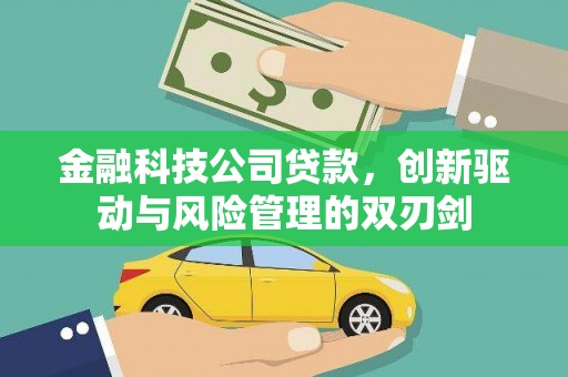 洛扎金融科技公司贷款，创新驱动与风险管理的双刃剑