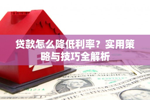 洛扎贷款怎么降低利率？实用策略与技巧全解析